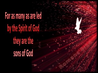 Romans 8:14 Led By The Spirit (red)